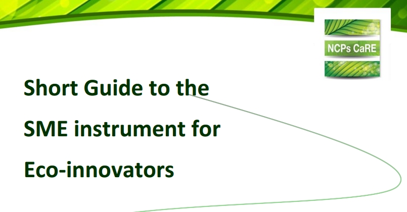 smeinst_guide_ecoinnovators